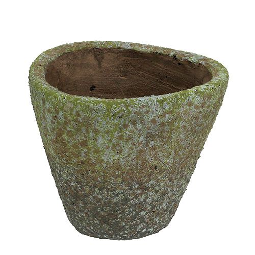 Floristik24 Topf Grau bemoost Ø16cm H13,5cm 1St