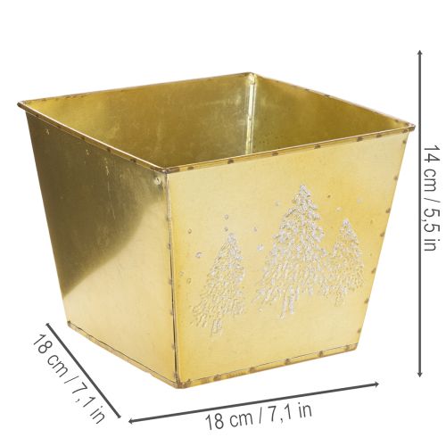 Pflanzgefäß aus Metall mit Tannenmotiv goldfarben 18x18x14cm | Floristik24.at