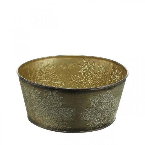 Floristik24 Herbstschale, Metalltopf mit Blattdeko, Pflanztopf Golden Ø25cm H10cm