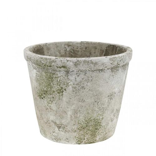 Floristik24 Blumentopf Antik Look Übertopf mit Patina Beton Ø17,5cm H14cm