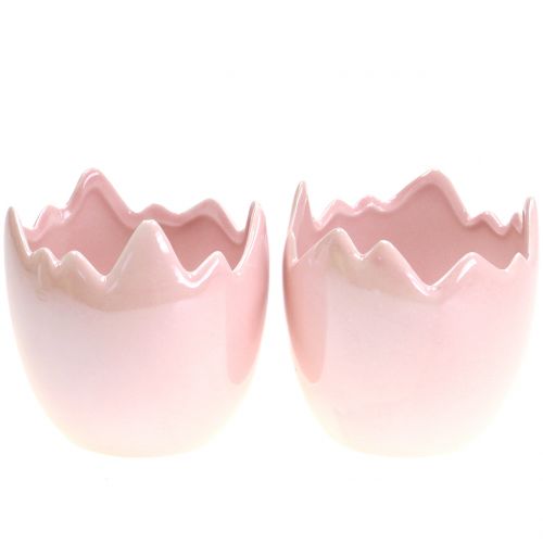 Floristik24 Übertopf Eierschale Rosa Perlmutt Ø11cm H11cm 2St