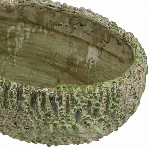 Artikel Übertopf Beton oval Antik-Look Grün, Braun 24×14×13cm