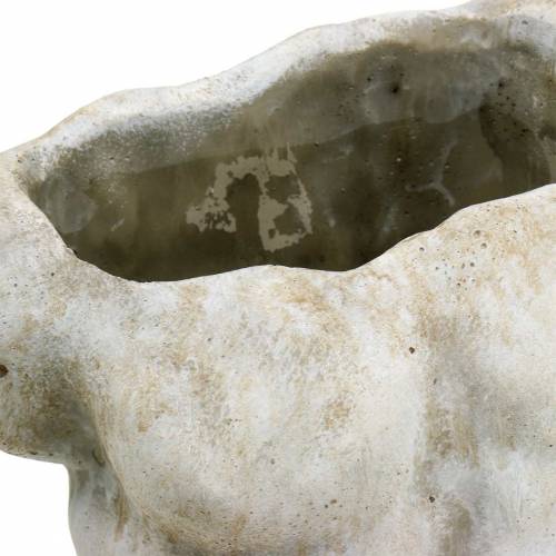 Floristik24 Pflanztopf Torso Männlich Grau 19×13,5cm H28cm