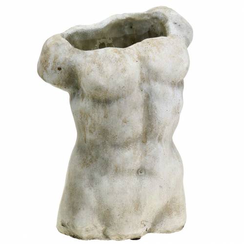 Floristik24 Pflanztopf Torso Männlich Grau 19×13,5cm H28cm