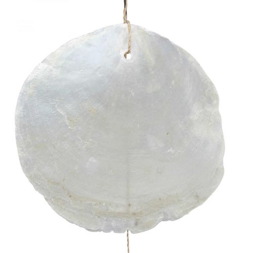 Artikel Treibholz Capiz Muschel Girlande Perlmutt H100cm