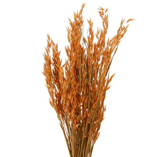 Artikel Trocken Deko Hafer Deko in Orange L64cm 70-75g 2St