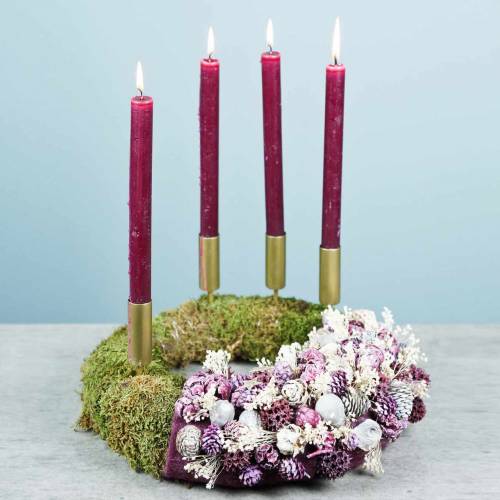 Floristik24 Trockenblumen Broom Bloom Gebleicht 140g