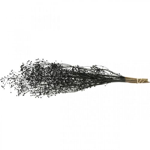 Artikel Trockenblume Massasa Schwarz Naturdeko 50-55cm Bund von 10St