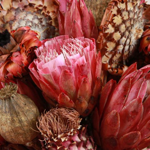 Artikel Trockenblumen Mix Pink Proteen Artischocke Mohn 38cm 580g