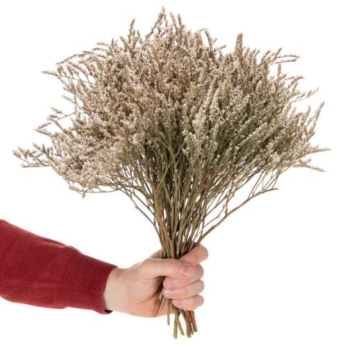 Strandflieder Trockenblume Natur gebündelt 1 kg | Floristik24.at