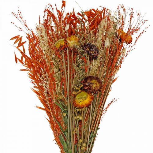 Floristik24 Trockenblumen Bouquet Orange-Mix 42cm