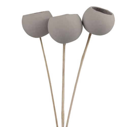 Artikel Trockenblumen Deko Bell Cups am Stiel Grau 37cm 3 St
