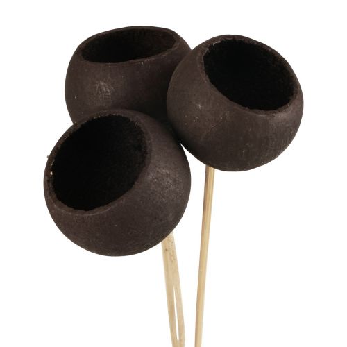 Artikel Trockenblumen Deko Bell Cups am Stiel Schwarz 44cm 3 St