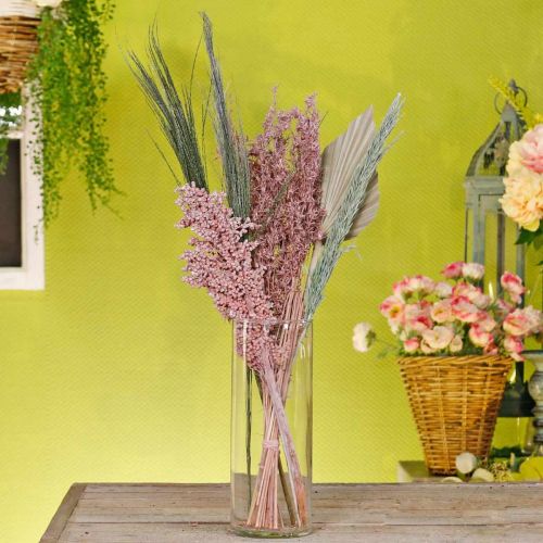 Floristik24 Trockenblumen Exoten Weiß-Rosa Mix Trockenstrauß Set