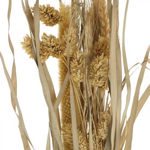 Floristik24 Trockengräser und Getreide Natur im Bund Trockenstrauß 48cm