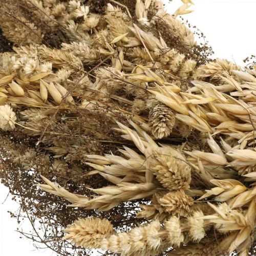 Floristik24 Dekokranz Trockenblumen groß Getreide und Gräser Natur Ø50cm