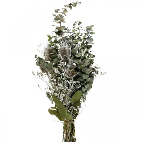 Floristik24 Trockenblumenstrauß Eukalyptus Strauß Disteln 45-55cm 100g