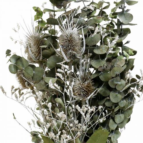 Floristik24 Trockenblumenstrauß Eukalyptus Strauß Disteln 45-55cm 100g