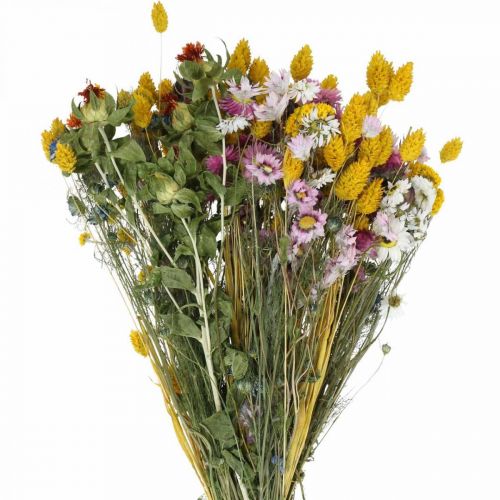 Floristik24 Trockenblumenstrauß bunt Trockenstrauß Wiesenblumen Bouquet 58cm