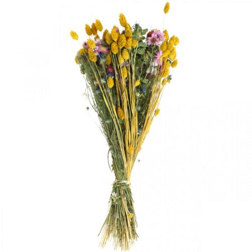 Floristik24 Trockenblumenstrauß bunt Trockenstrauß Wiesenblumen Bouquet 58cm