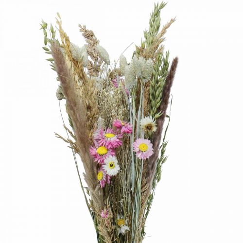 Floristik24 Trockenblumenstrauß Gras Phalaris Strohblumen Pink 60cm 110g