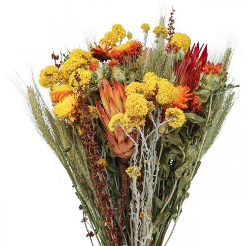 Floristik24 Trockenblumenstrauß Strauß Wiesenblumen Orange H50cm 300g