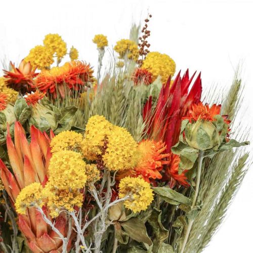 Floristik24 Trockenblumenstrauß Strauß Wiesenblumen Orange H50cm 300g