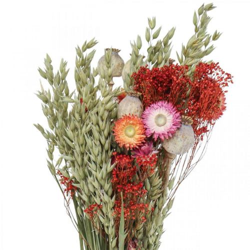 Floristik24 Trockenblumenstrauß Strauß Wiesenblumen Rot H50cm 150g