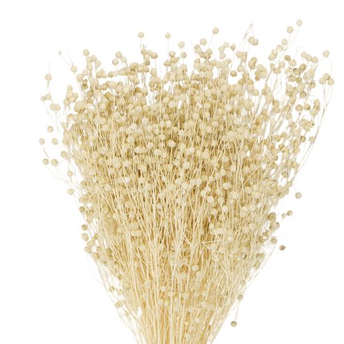 Trockengras Flachs getrocknet Natur gebleicht 50-55cm 180g