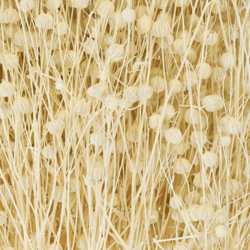 Artikel Trockengras Flachs getrocknet Natur gebleicht 50-55cm 180g