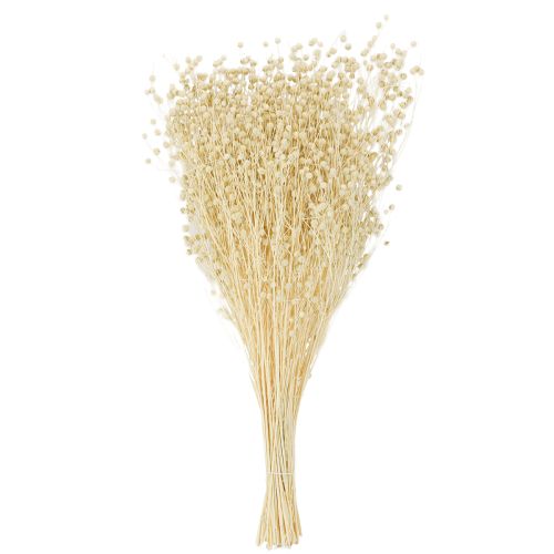 Artikel Trockengras Flachs getrocknet Natur gebleicht 50-55cm 180g