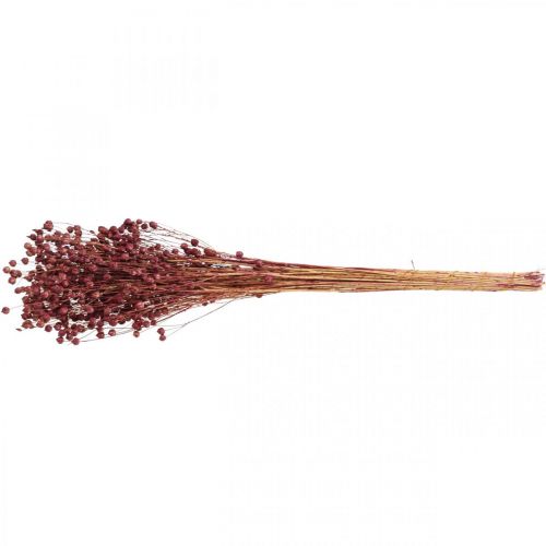 Artikel Trockengras Getrockneter Flachs Altrosa H50–55cm 80g