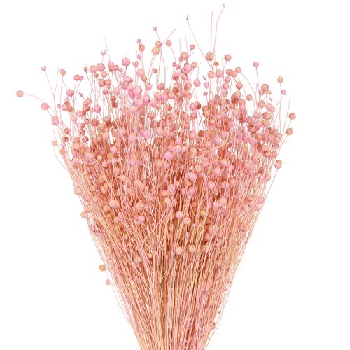Artikel Trockengras Getrockneter Flachs Hellrosa H50–55cm 80g
