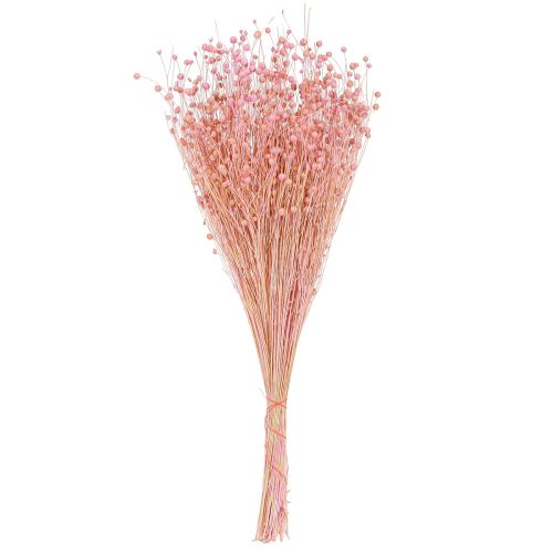 Artikel Trockengras Getrockneter Flachs Hellrosa H50–55cm 80g