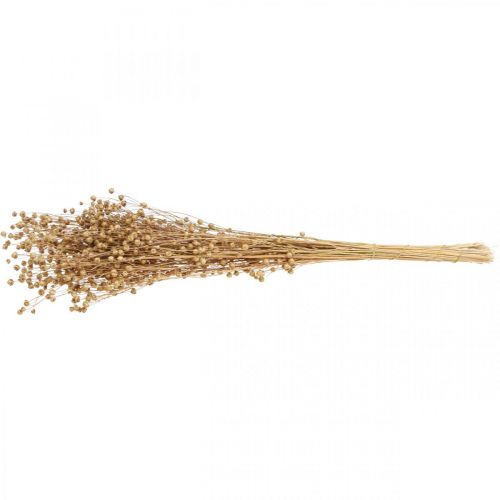Floristik24 Trockengras Getrockneter Flachs Natur H50-55cm 80g