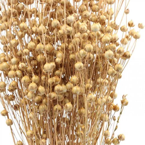 Floristik24 Trockengras Getrockneter Flachs Natur H50-55cm 80g