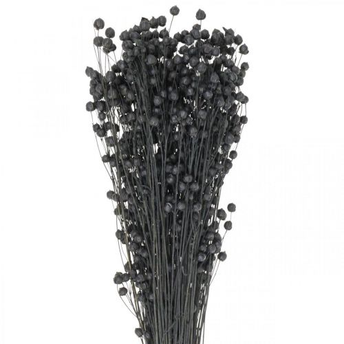 Artikel Trockengras Getrockneter Flachs Schwarz H50–55cm 80g