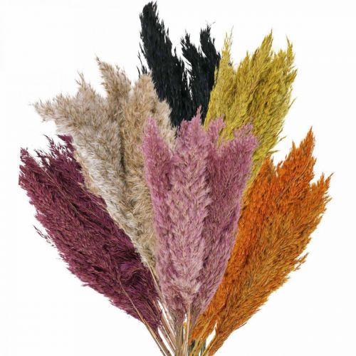 Artikel Trockengras Riedgras getrocknet Verschiedene Farben 70cm 10 St