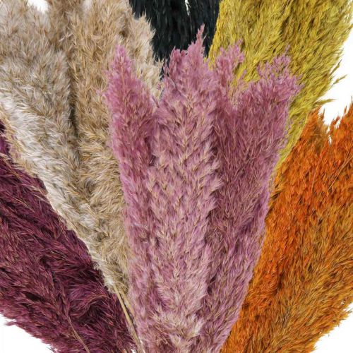 Artikel Trockengras Riedgras getrocknet Verschiedene Farben 70cm 10 St