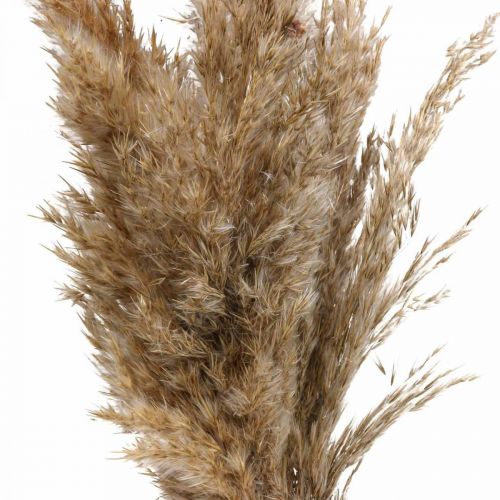 Floristik24 Trockengras Riedgras getrocknet Dekogras Natur 70cm 10 St