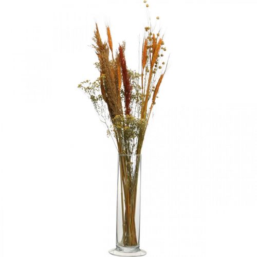 Floristik24 Trockenblumen DIY Set für Trockenstrauß Orange 60cm