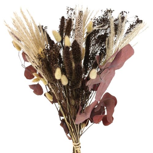 Floristik24 Trockenstrauß Eukalyptus Trockengräser Strauß 60cm 120g