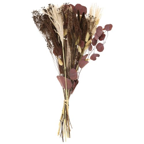 Floristik24 Trockenstrauß Eukalyptus Trockengräser Strauß 60cm 120g