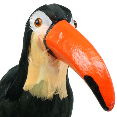 Floristik24 Deko Tukan mit Federn Schwarz L37cm
