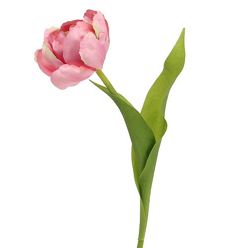 Floristik24 Tulpe Rosa 37cm 6St