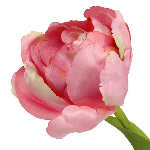 Floristik24 Tulpe Rosa 37cm 6St