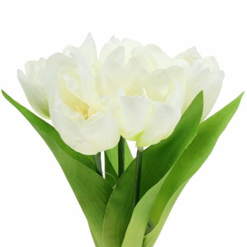 Floristik24 Frühlings-Dekoration Tulpen im Bund Weiß 26,5cm 5St