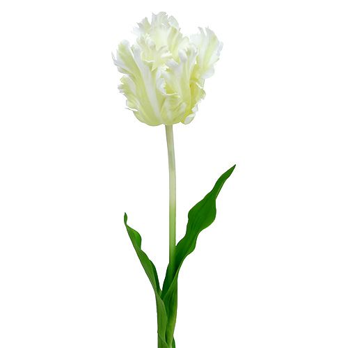 Floristik24 Tulpe künstlich Weiß 70cm