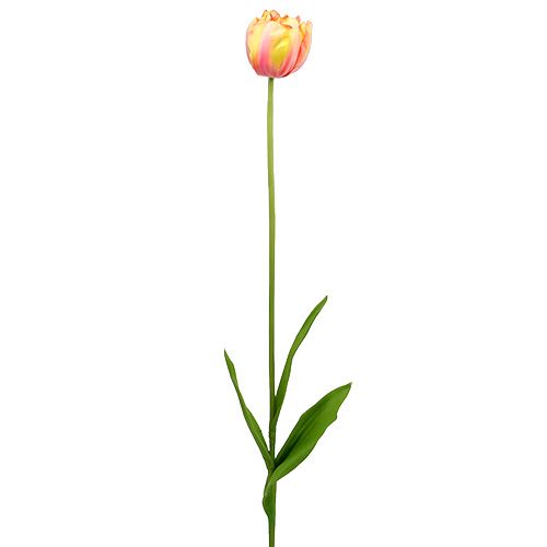 Floristik24 Tulpen Rosa-Gelb 86cm 3St