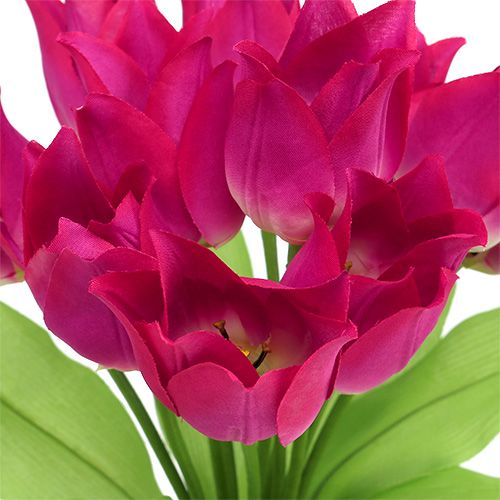 Floristik24 Tulpenbusch Pink L 30cm